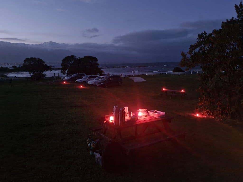 Park by the sea at dusk with cars, red lights, trees, and distant horizon.